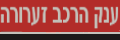 ענק הרכב